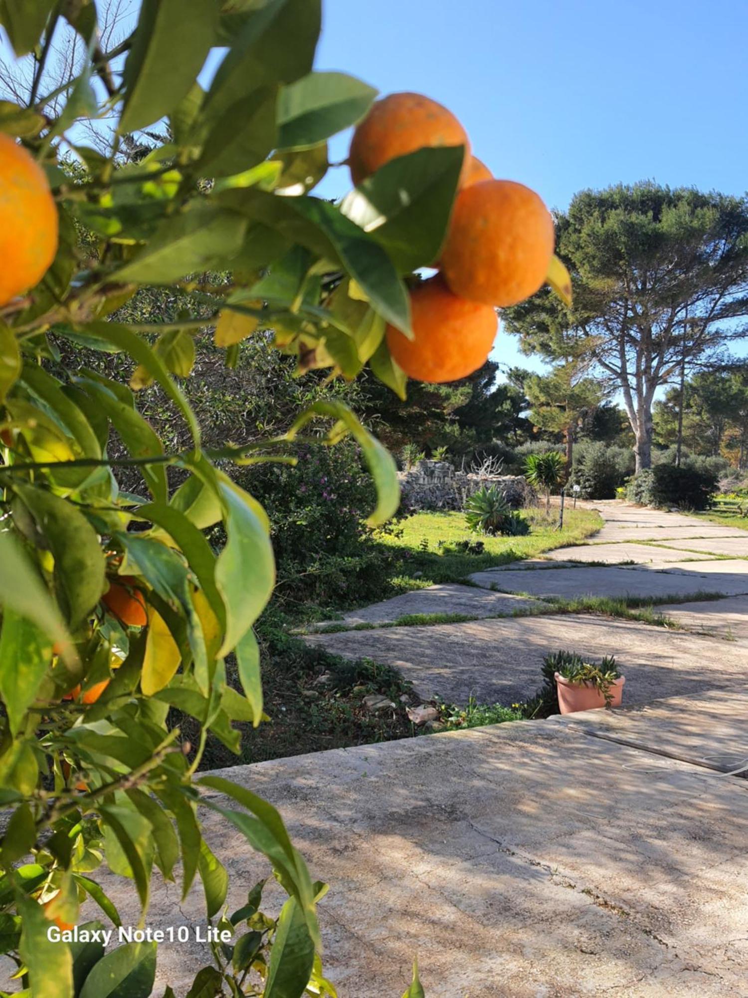 Sogni Nel Blu Favignana Villa Exterior foto